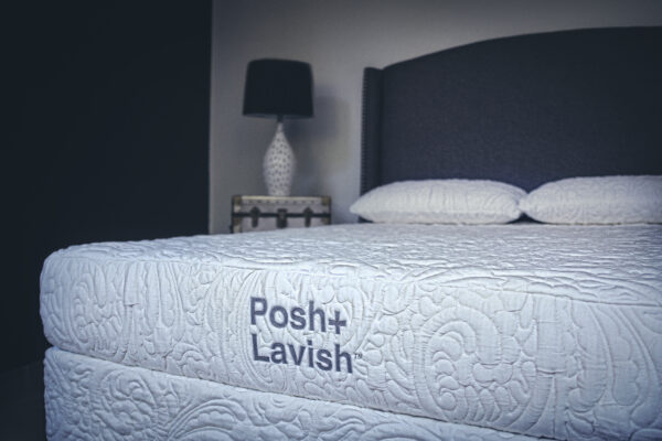 Posh and Lavish Relax - Image 2