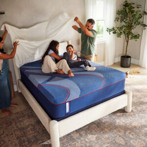 Sealy Euro Pillow Top Brenham Hybrid Soft