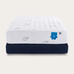 PranaSleep Asha Luxe Medium